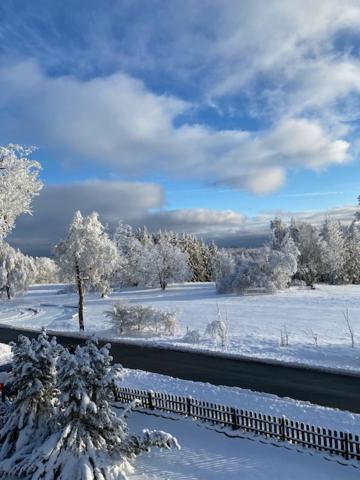 Ferienwohnung Harzblick 4 Браунлаге Екстер'єр фото